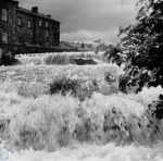 Duerley Beck, Gayle